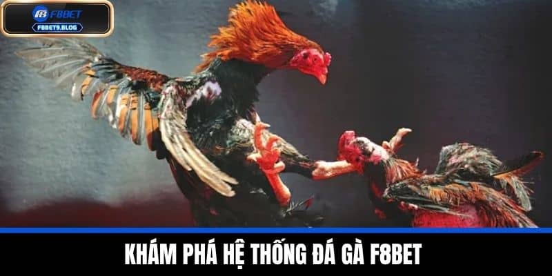 đá gà f8bet 1 Khám Phá Hệ Thống Đá Gà F8BET