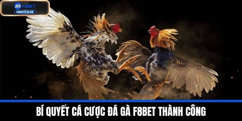đá gà f8bet 3 Bí Quyết Cá Cược Đá Gà F8BET Thành Công