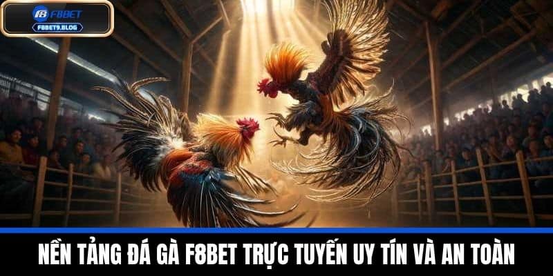 đá gà f8bet 4 Nền tảng Đá Gà F8BET trực tuyến uy tín và an toàn