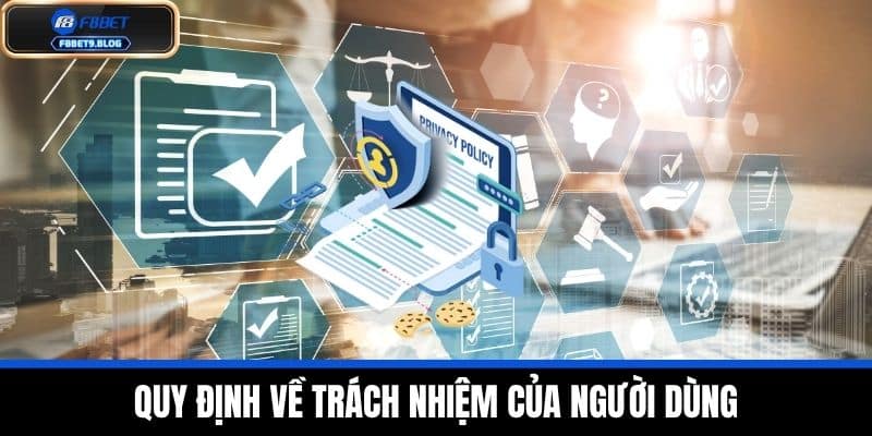 điều khoản và điều kiện 3 Quy định về trách nhiệm của người dùng